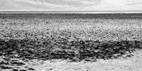 death valley