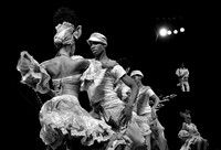 Tropicana Dancers