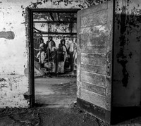 Ellis Island Hospital Buildings